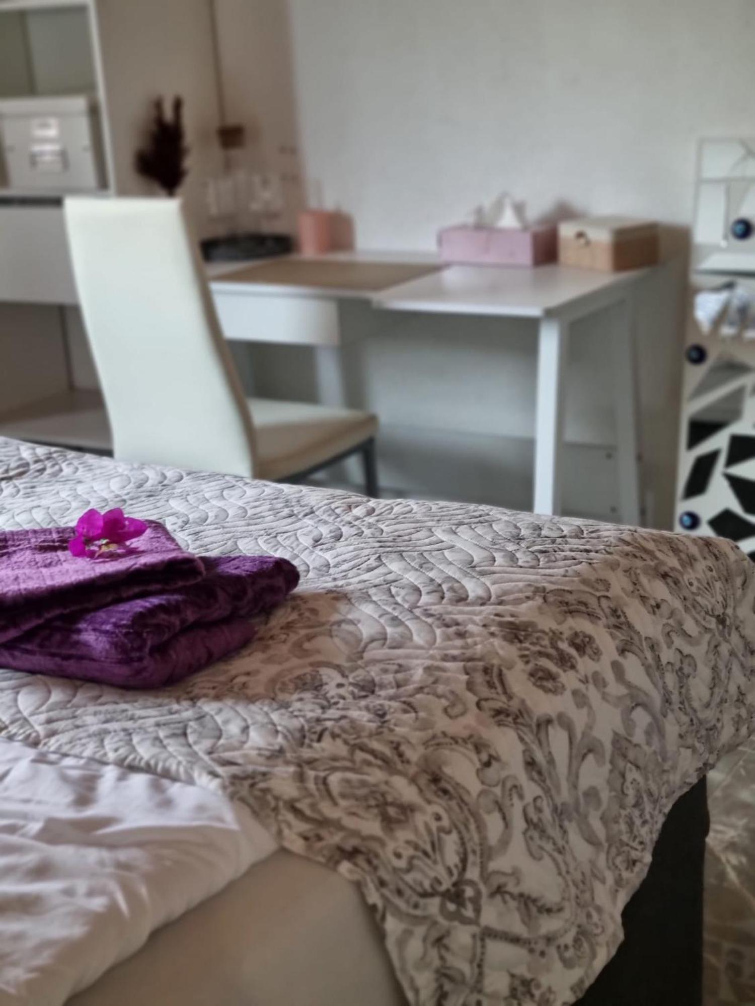 Apartment Sasu フリードリヒスハーフェン エクステリア 写真